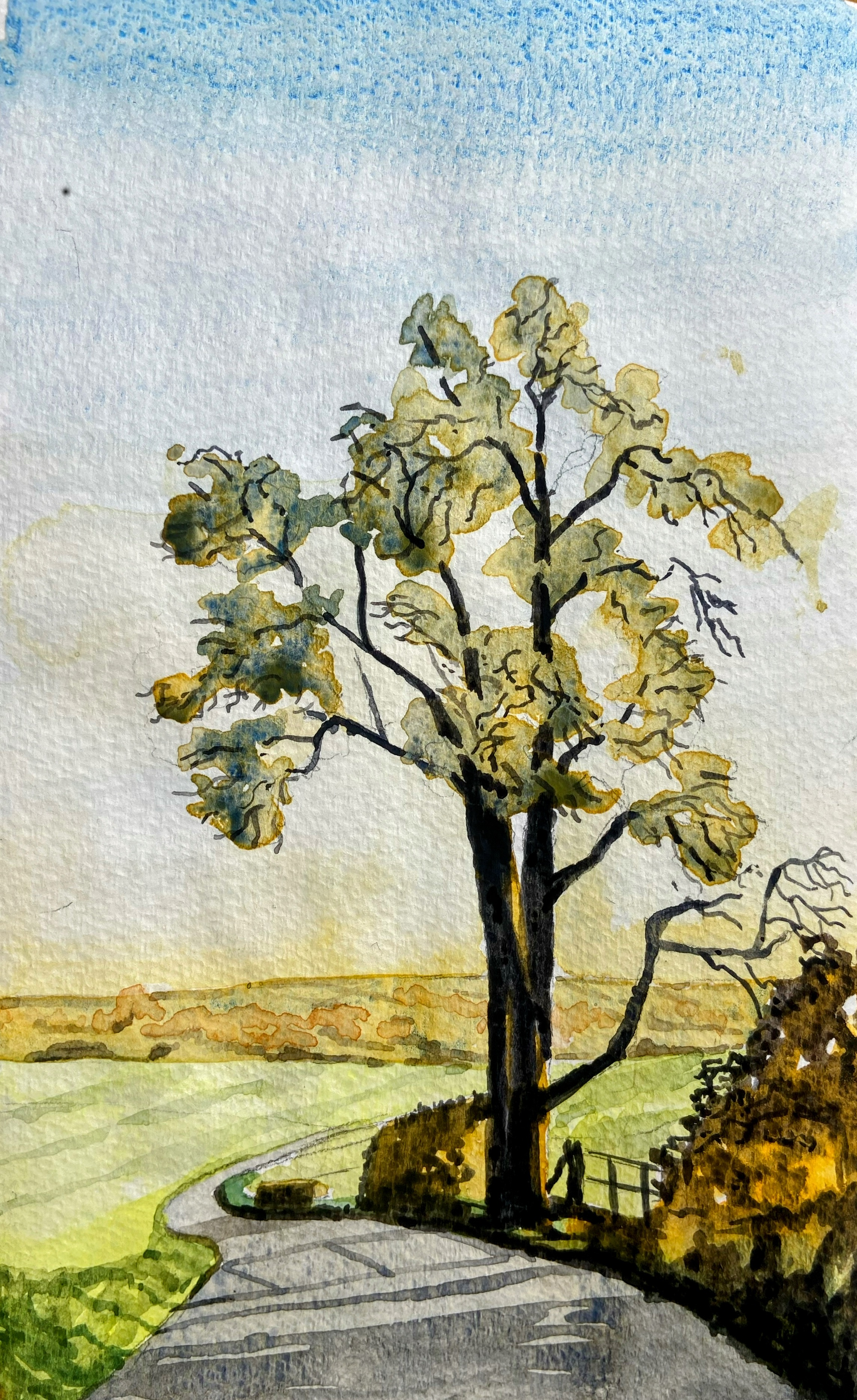 Watercolour painting of some trees